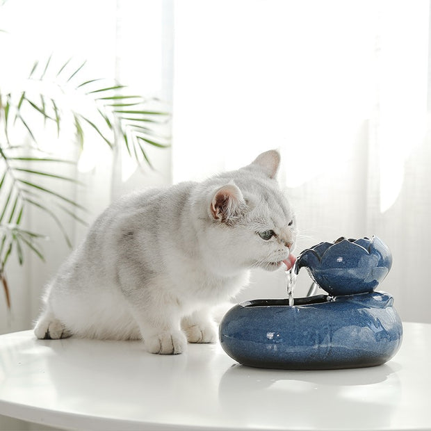 Cat feeder water feeder